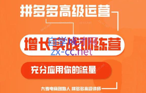 大麦老师·拼多多单品爆款打造课程(更新6月)-游客之家