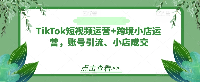 TikTok短视频运营+跨境小店运营，账号引流、小店成交-游客之家
