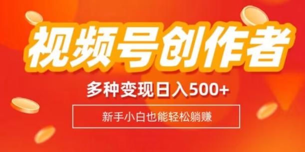 视频号创作者计划，多种变现方式，日入500+【内附1080g视频素材】-游客之家