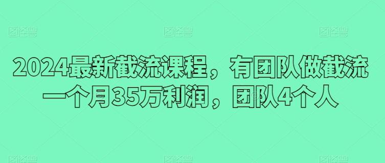 2024最新截流课程，有团队做截流一个月35万利润，团队4个人-游客之家