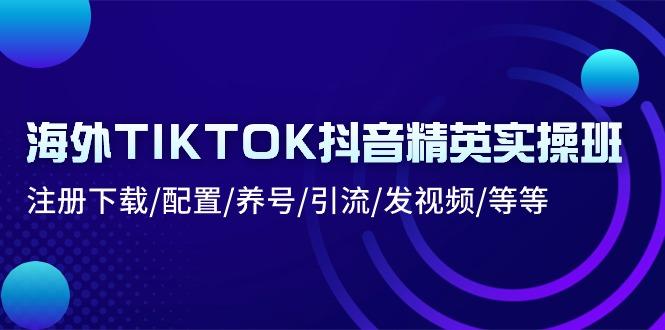 海外TIKTOK抖音精英实操班：注册下载/配置/养号/引流/发视频/等等-游客之家