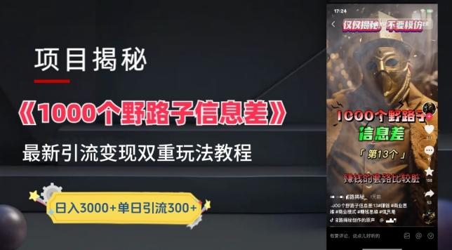 一千个野路子信息差最新玩法教程-变现+引流的玩法具体拆解【揭秘】-游客之家