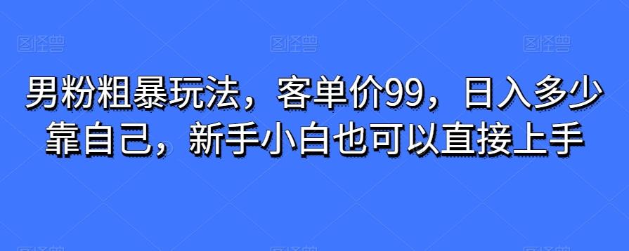 男粉粗暴玩法，客单价99，日入多少靠自己，新手小白也可以直接上手-游客之家
