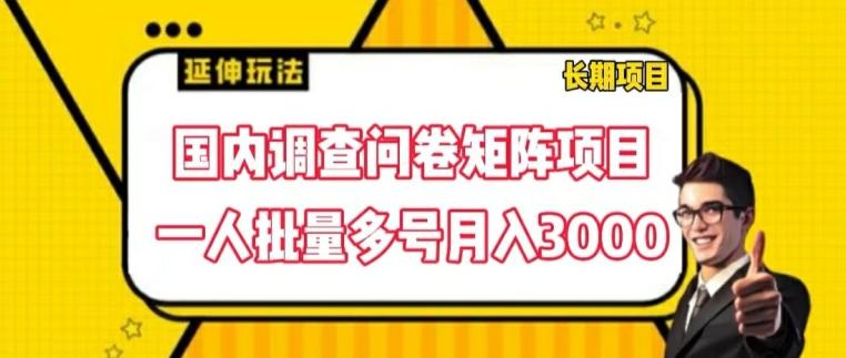 国内调查问卷矩阵项目，一人批量多号月入3000【揭秘】-游客之家