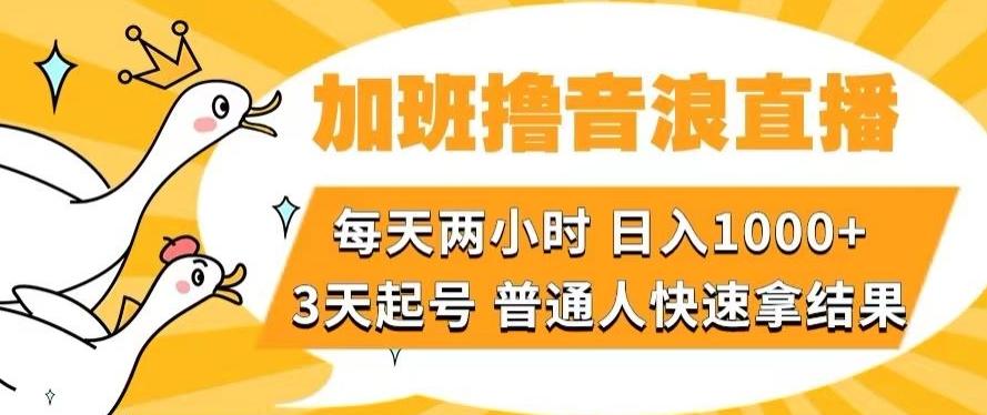 加班撸音浪直播，每天两小时，日入1000+，直播话术才3句，3天起号，普通人快速拿结果【揭秘】-游客之家