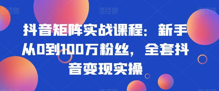 抖音矩阵实战课程：新手从0到100万粉丝，全套抖音变现实操-游客之家