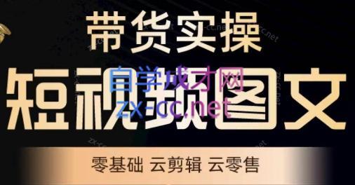 鑫哥·2024零基础短视频带货实操营-游客之家