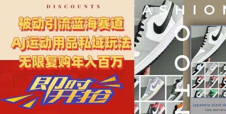被动引流蓝海赛道，AJ运动用品私域玩法，无限复购年入百万【揭秘】-游客之家
