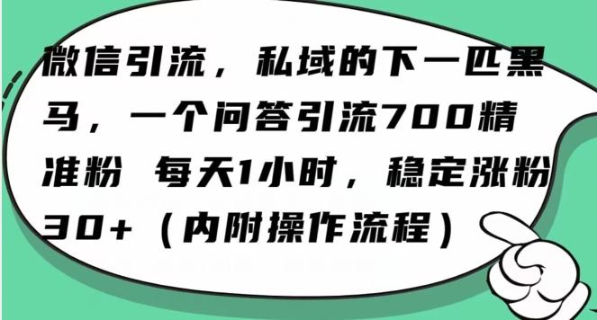 怎么搞精准创业粉？微信新赛道，每天一小时，利用Ai一个问答日引100精准粉-游客之家