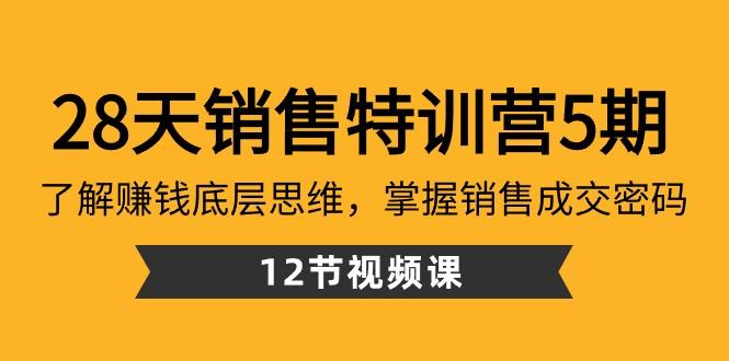 28天销售特训营5期：了解赚钱底层思维，掌握销售成交密码（12节课）-游客之家