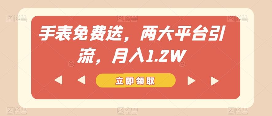 手表免费送，两大平台引流，月入1.2W【揭秘】-游客之家