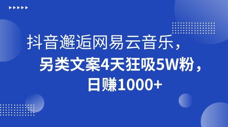 抖音邂逅网易云音乐，另类文案4天狂吸5W粉，日赚1000+【揭秘】-游客之家