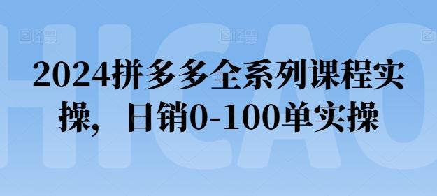 2024拼多多全系列课程实操，日销0-100单实操【必看】-游客之家