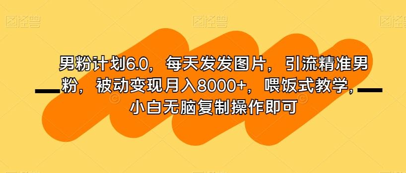 男粉计划6.0，每天发发图片，引流精准男粉，被动变现月入8000+，喂饭式教学，小白无脑复制操作即可-游客之家