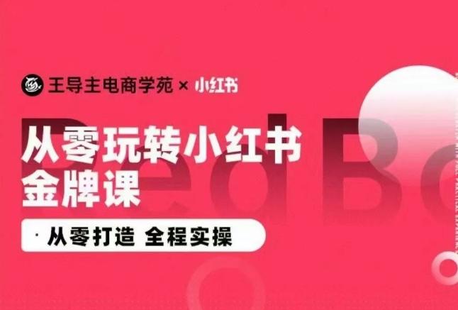 王导主·小红书电商运营实操课，​从零打造  全程实操-游客之家