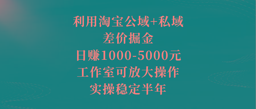 利用淘宝公域+私域差价掘金，日赚1000-5000元，工作室可放大操作，实操...-游客之家