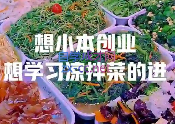 李记·精品凉拌菜系列热卤系列教程-游客之家