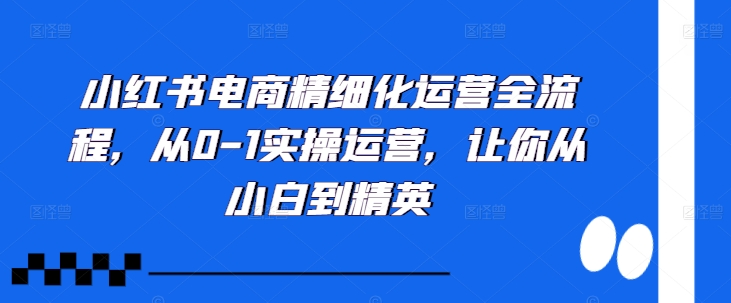 小红书电商精细化运营全流程，从0-1实操运营，让你从小白到精英-游客之家