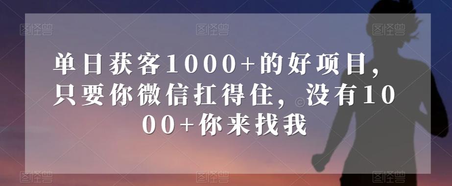 单日获客1000+的好项目，只要你微信扛得住，没有1000+你来找我【揭秘】-游客之家