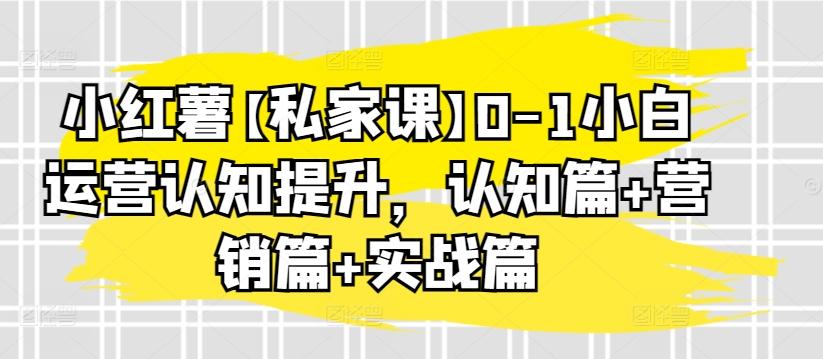 小红薯【私家课】0-1小白运营认知提升，认知篇+营销篇+实战篇-游客之家