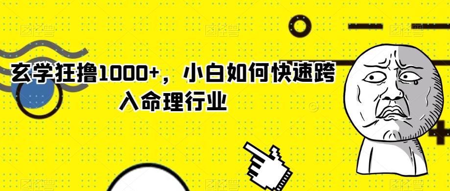 玄学狂撸1000+，小白如何快速跨入命理行业-游客之家