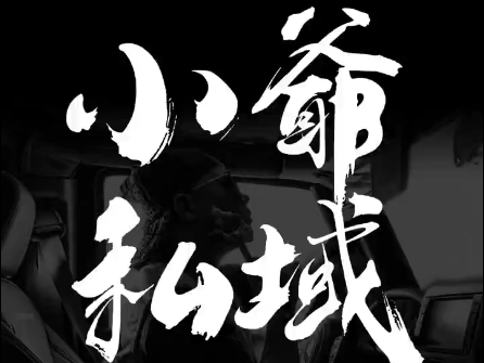 小爷·私域项目操盘手-游客之家