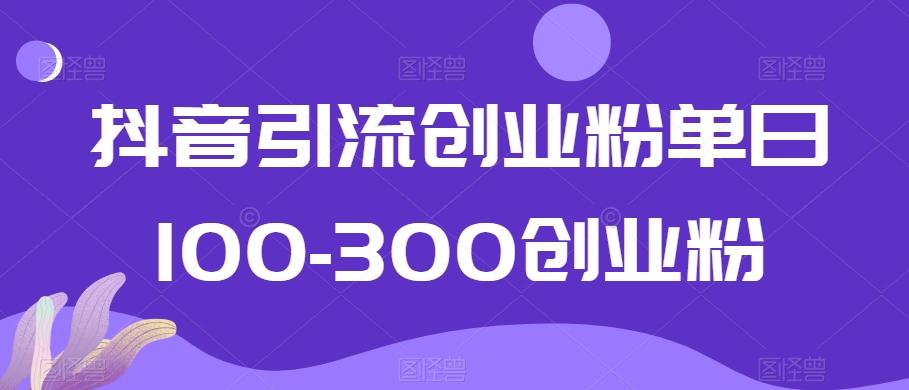 抖音引流创业粉单日100-300创业粉【揭秘】-游客之家