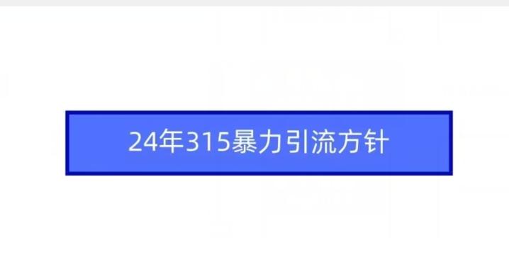 24年315暴力引流方针-游客之家