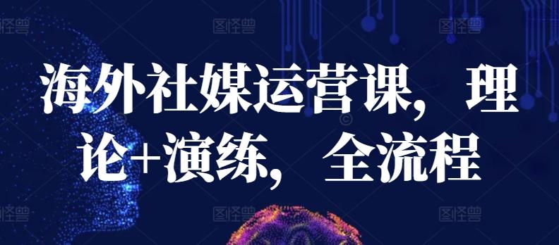 海外社媒运营课，理论+演练，全流程-游客之家