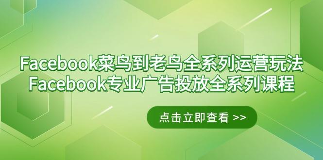 Facebook-菜鸟到老鸟全系列运营玩法+Facebook-专业广告投放全系列课程-游客之家