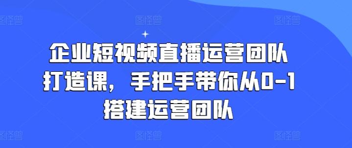 企业短视频直播运营团队打造课，手把手带你从0-1搭建运营团队-游客之家
