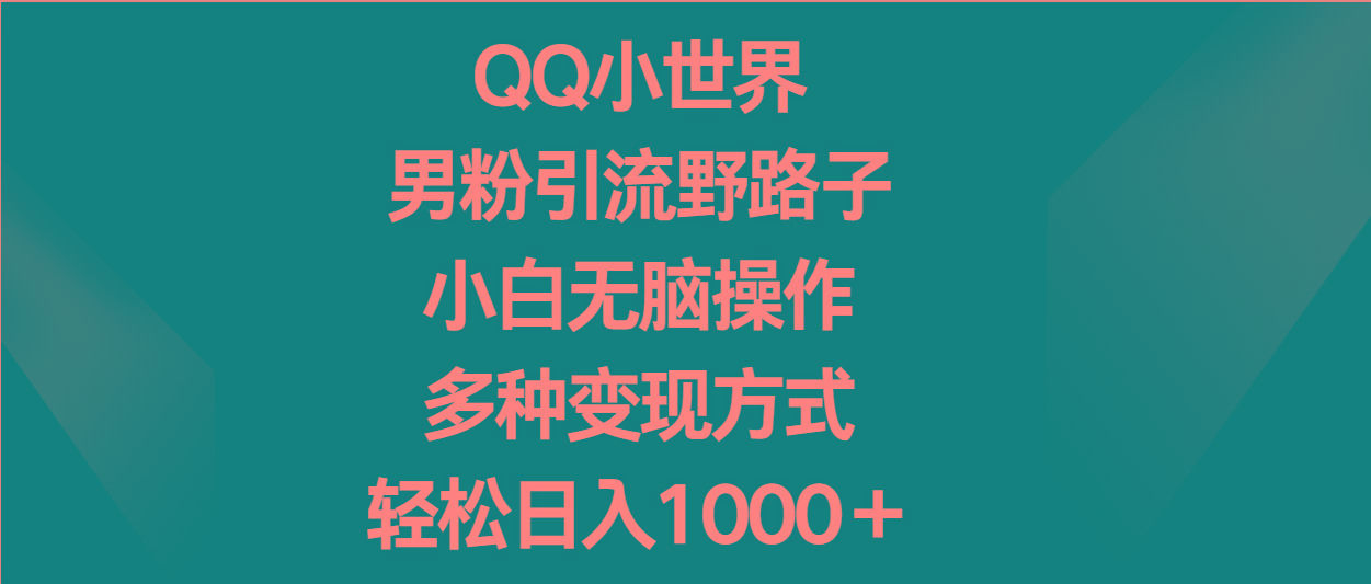 QQ小世界男粉引流野路子，小白无脑操作，多种变现方式轻松日入1000＋-游客之家