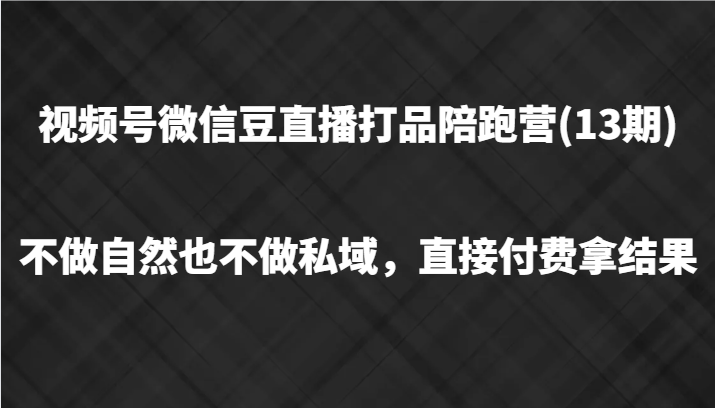 视频号微信豆直播打品陪跑(13期)，不做不自然流不做私域，直接付费拿结果-游客之家