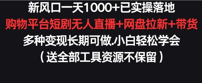 新风口一天1000+已实操落地购物平台短剧无人直播+网盘拉新+带货多种变现长期可做【揭秘】-游客之家