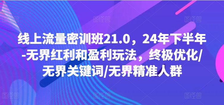 线上流量密训班21.0，24年下半年-无界红利和盈利玩法，终极优化/无界关键词/无界精准人群-游客之家