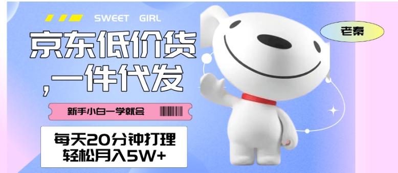 每天20分钟打理京东低价货，一件代发-轻松月入5W＋-游客之家