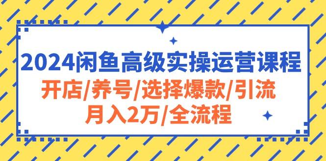 2024闲鱼高级实操运营课程：开店/养号/选择爆款/引流/月入2万/全流程-游客之家