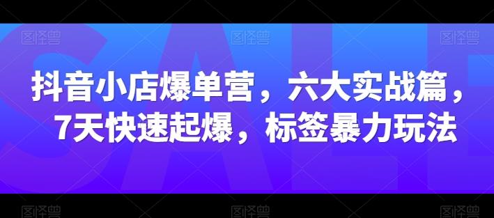 抖音小店爆单营，六大实战篇，7天快速起爆，标签暴力玩法-游客之家
