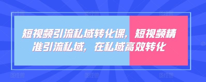 短视频引流私域转化课，短视频精准引流私域，在私域高效转化-游客之家