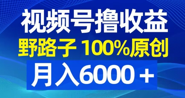 视频号野路子撸收益，100%原创，条条爆款，月入6000＋【揭秘】-游客之家