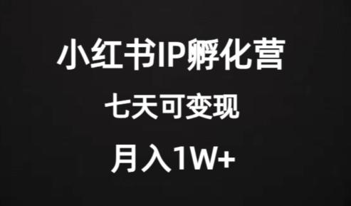 价值2000+的小红书IP孵化营项目，超级大蓝海，七天即可开始变现，稳定月入1W+-游客之家