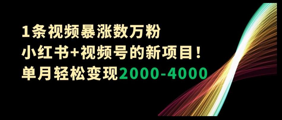 1条视频暴涨数万粉--小红书+视频号的新项目！单月轻松变现2000-4000【揭秘】-游客之家