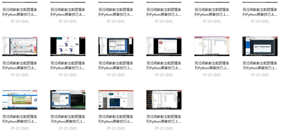 Python黑客技巧课程-游客之家