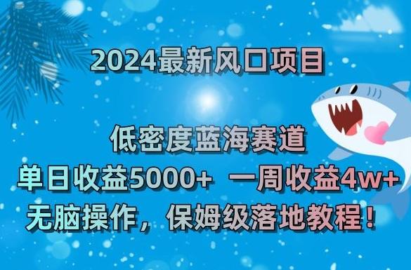 2024最新风口项目，低密度蓝海赛道，单日收益5000+，一周收益4w+！【揭秘】-游客之家