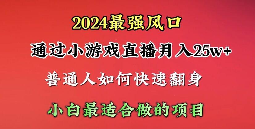 (10020期)2024年最强风口，通过小游戏直播月入25w+单日收益5000+小白最适合做的项目-游客之家