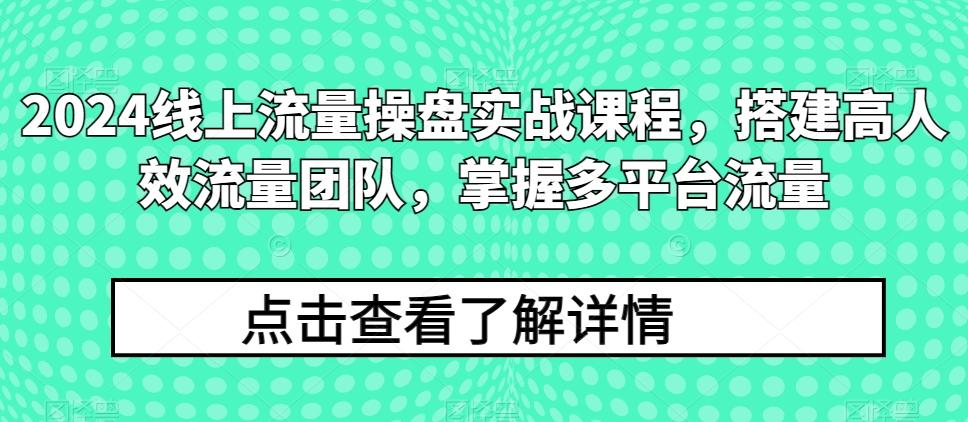 2024线上流量操盘实战课程，搭建高人效流量团队，掌握多平台流量-游客之家