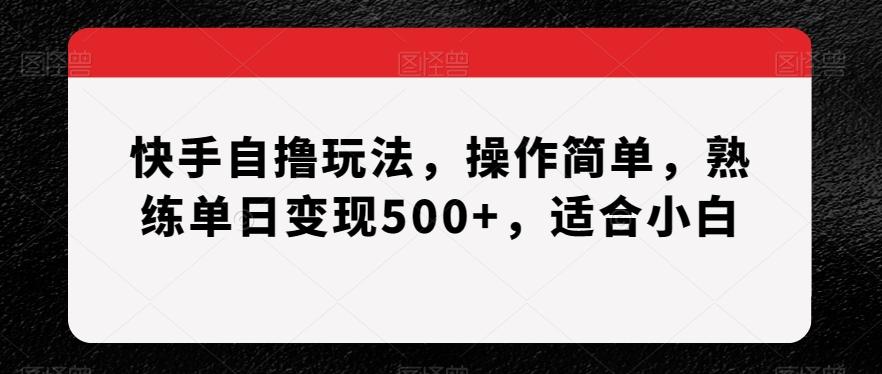 快手自撸玩法，操作简单，熟练单日变现500+，适合小白【揭秘】-游客之家