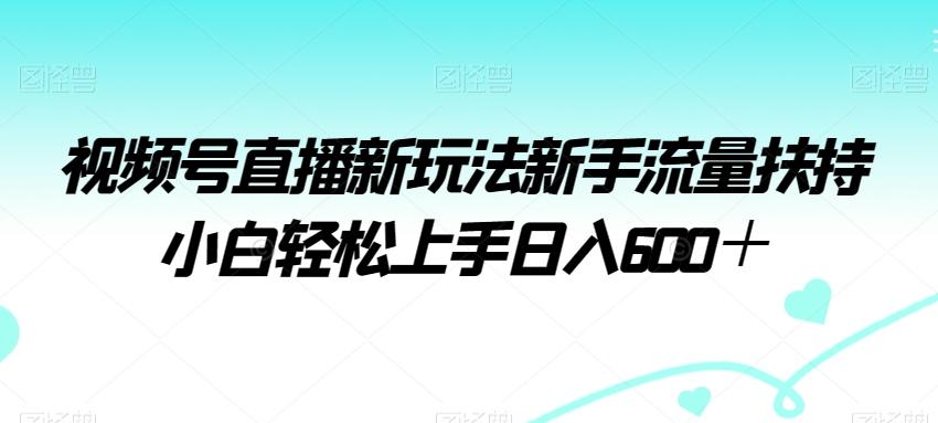 视频号直播新玩法新手流量扶持小白轻松上手日入600＋【揭秘】-游客之家