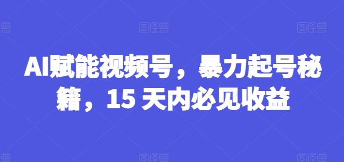AI赋能视频号，暴力起号秘籍，15 天内必见收益【揭秘】-游客之家
