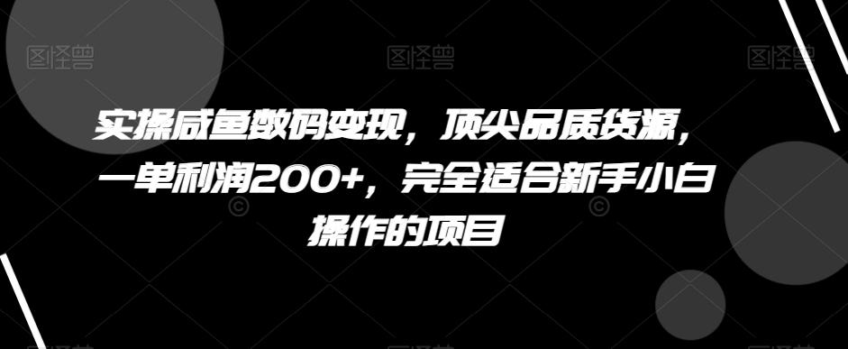 实操咸鱼数码变现，顶尖品质货源，一单利润200+，完全适合新手小白操作的项目【揭秘】-游客之家